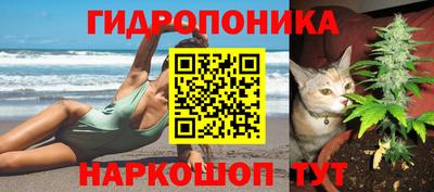 Альфа ПВП Бузулук